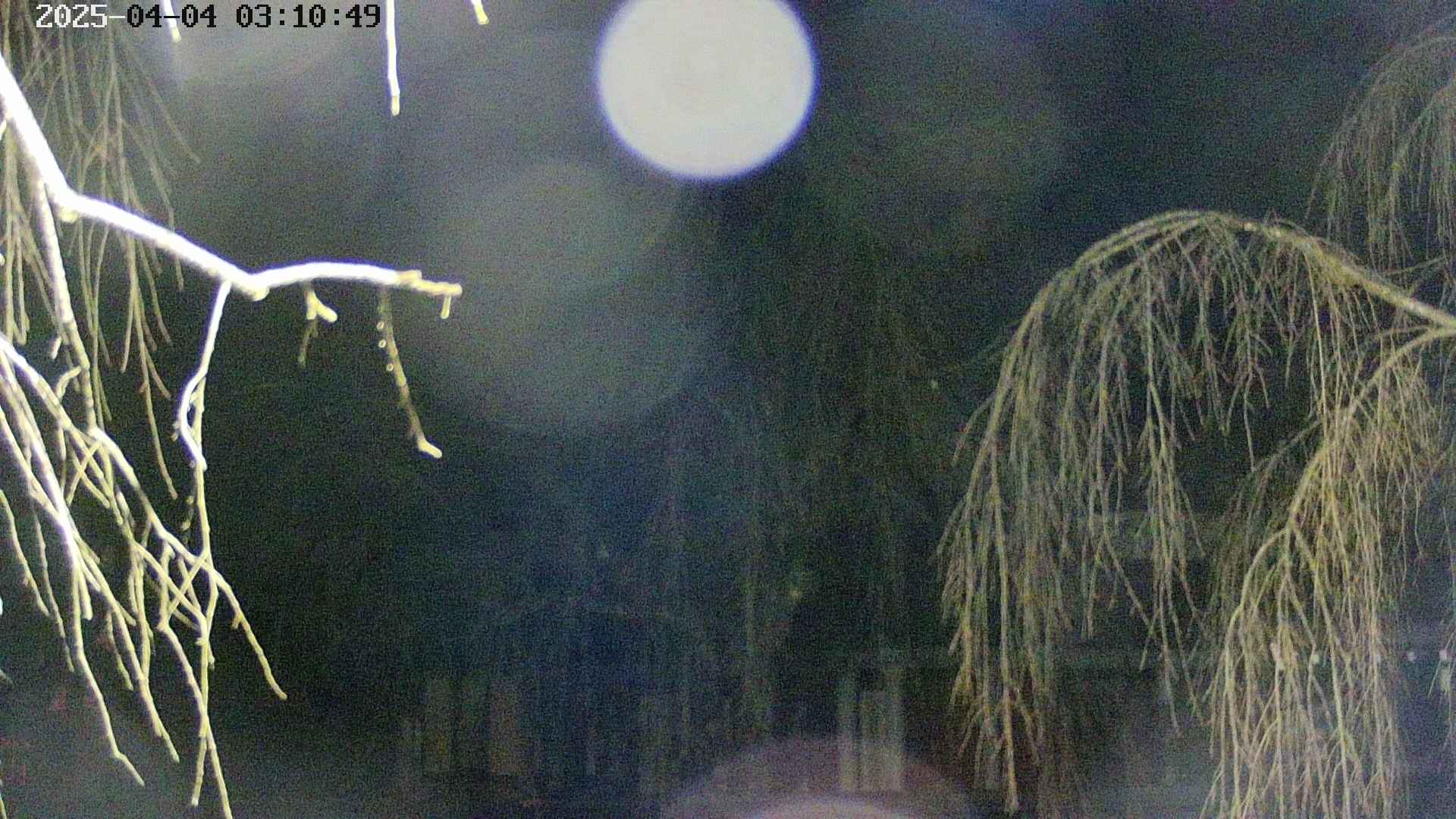 area2-20250404031052.jpg