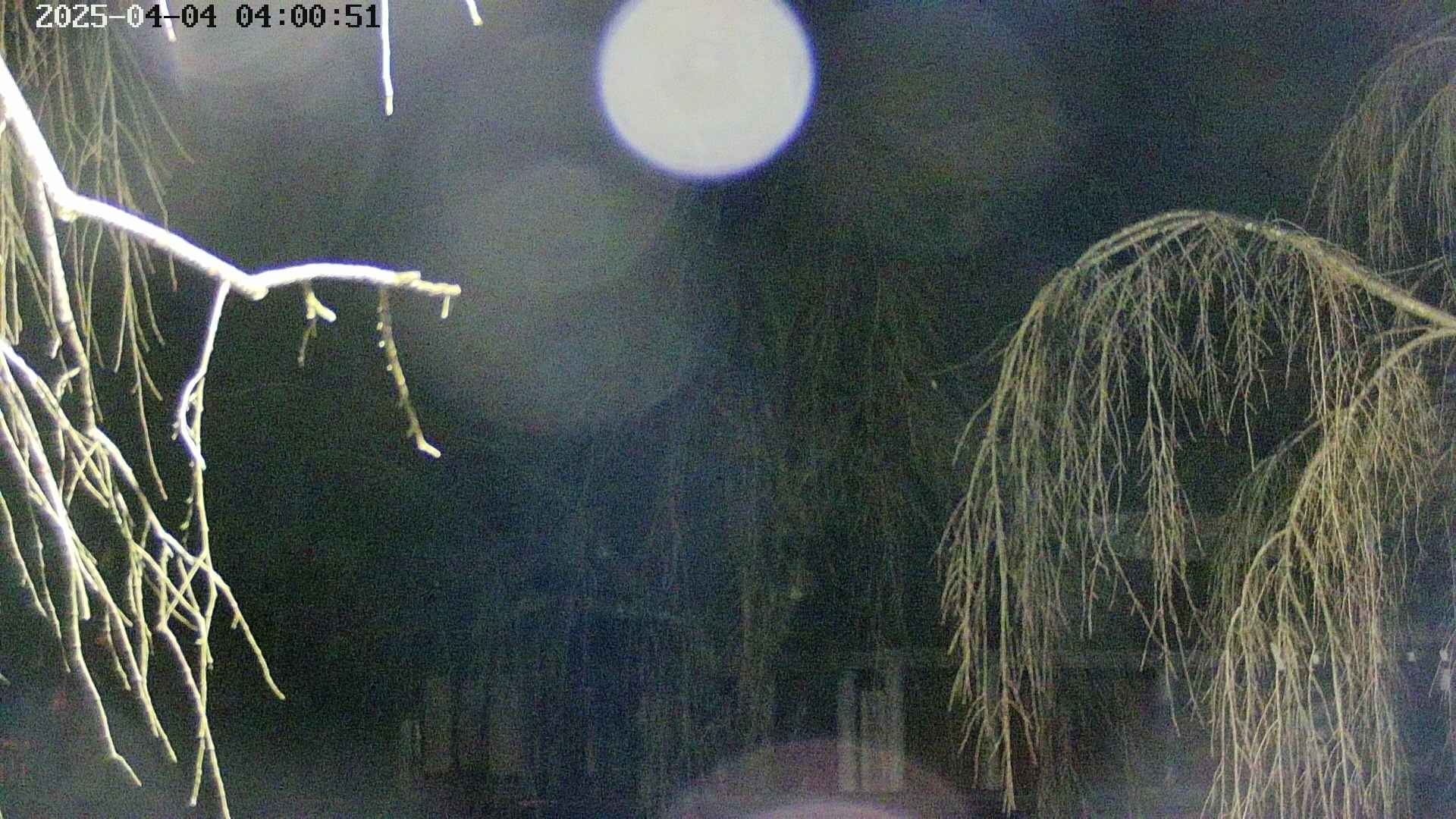 area2-20250404040055.jpg