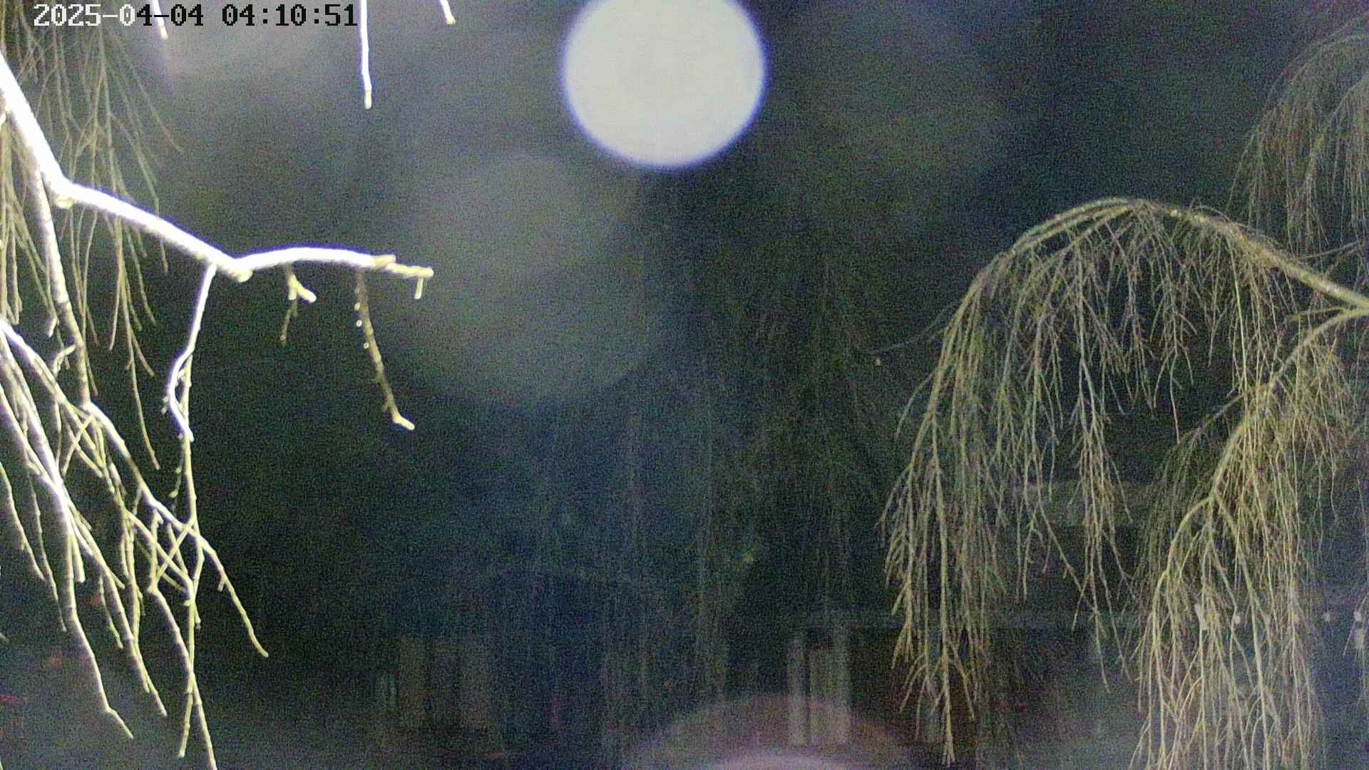 area2-20250404041054.jpg