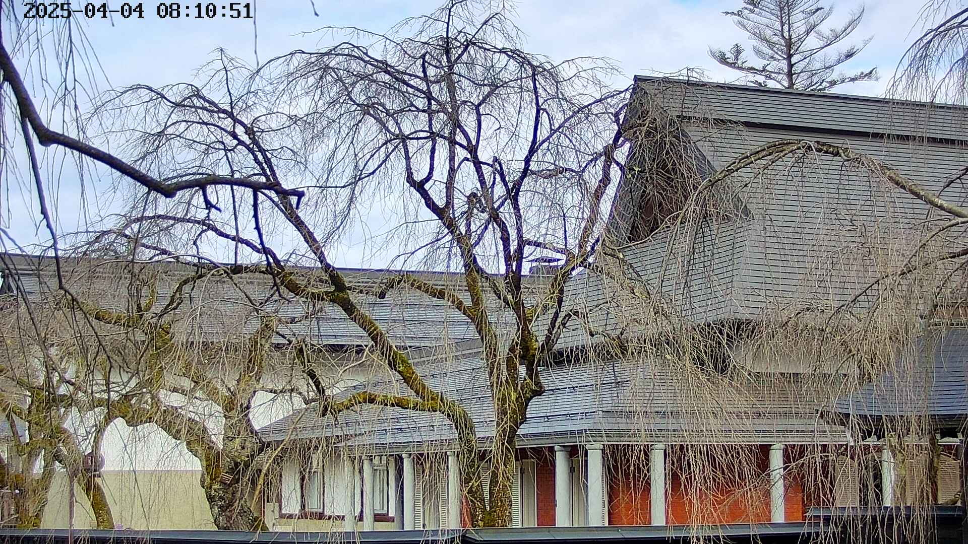 area2-20250404081055.jpg