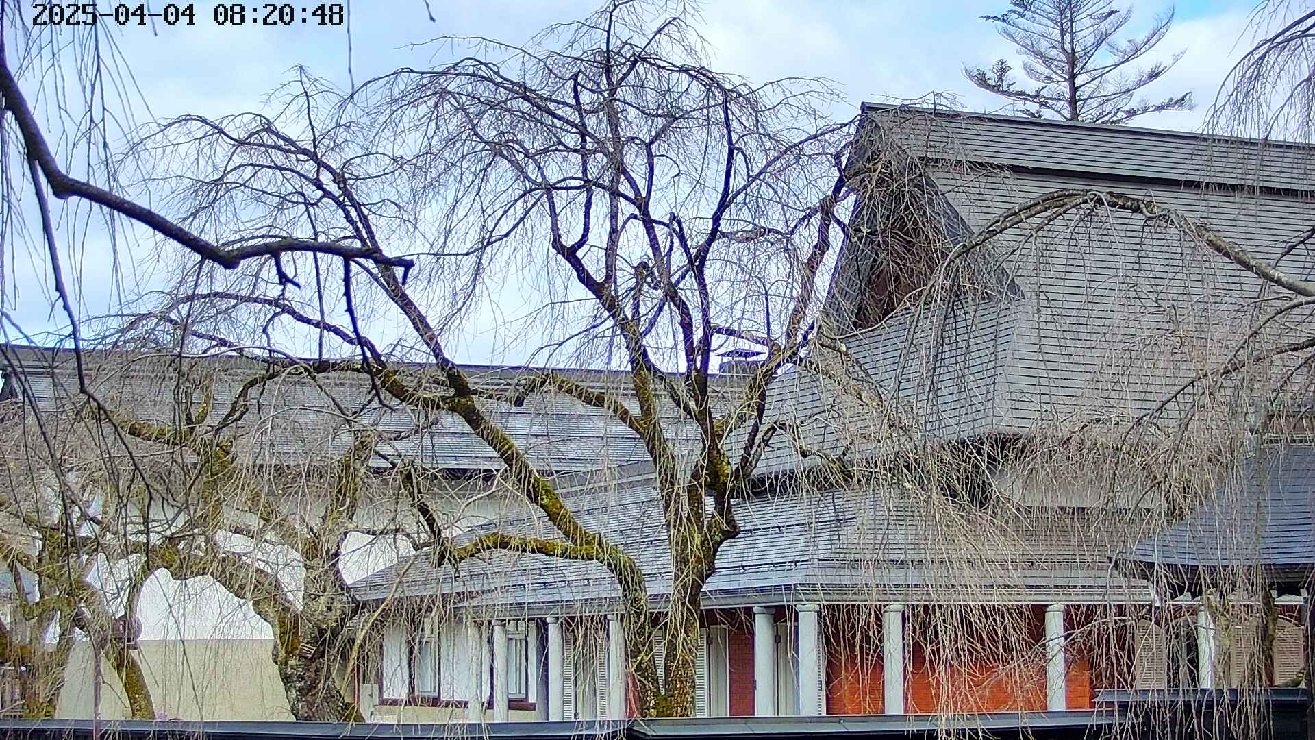 area2-20250404082052.jpg