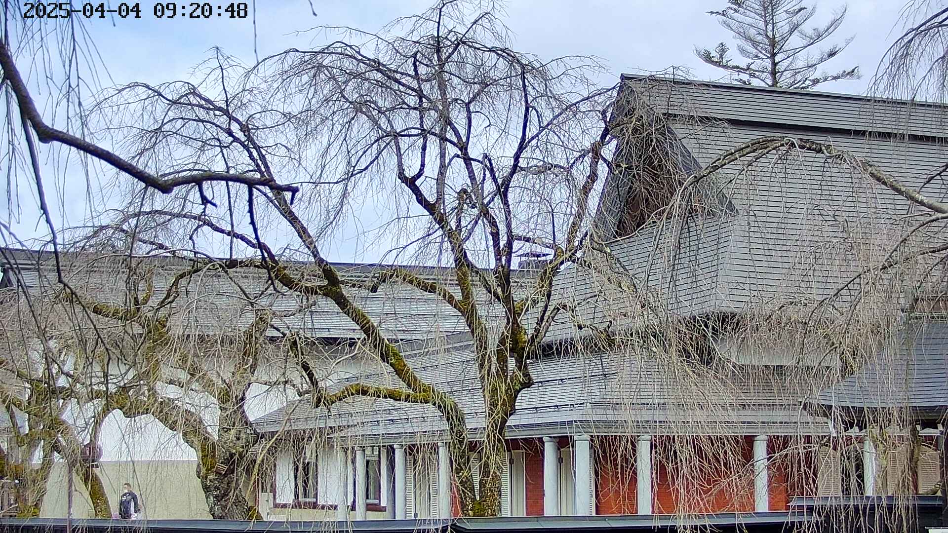 area2-20250404092053.jpg