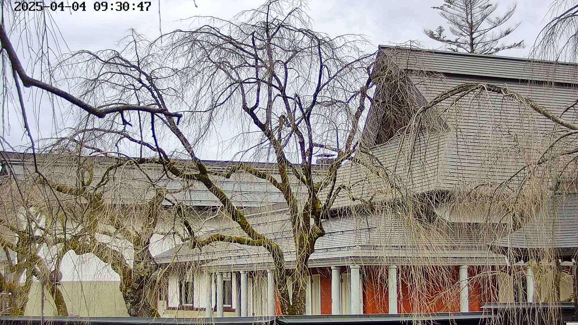 area2-20250404093052.jpg