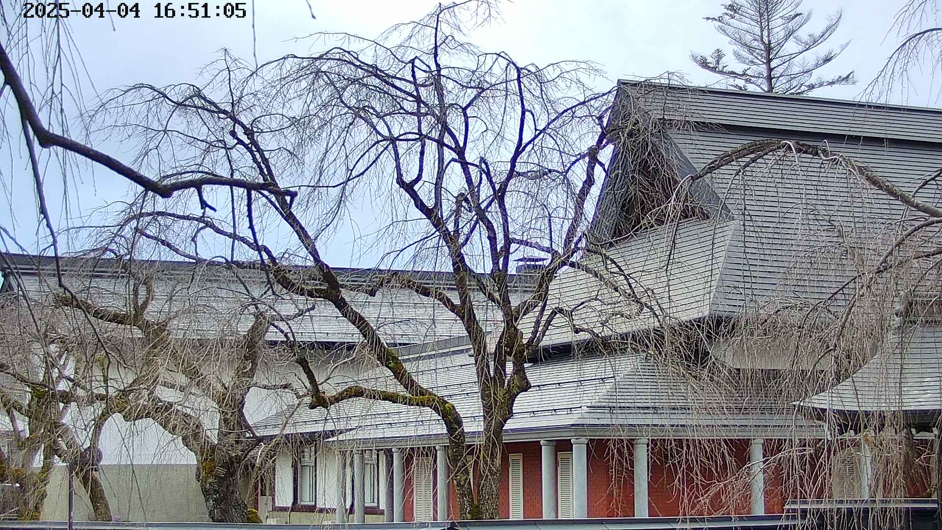 area2-20250404165107.jpg