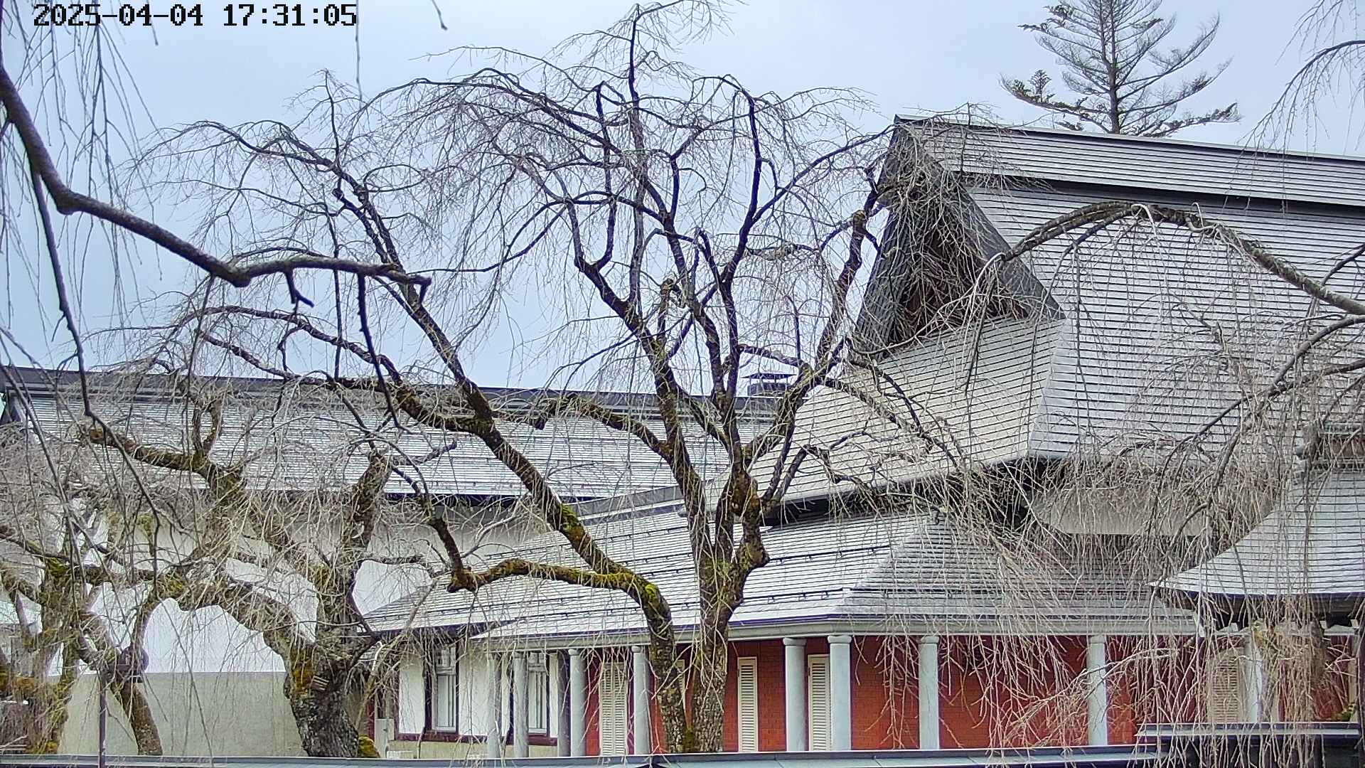 area2-20250404173107.jpg