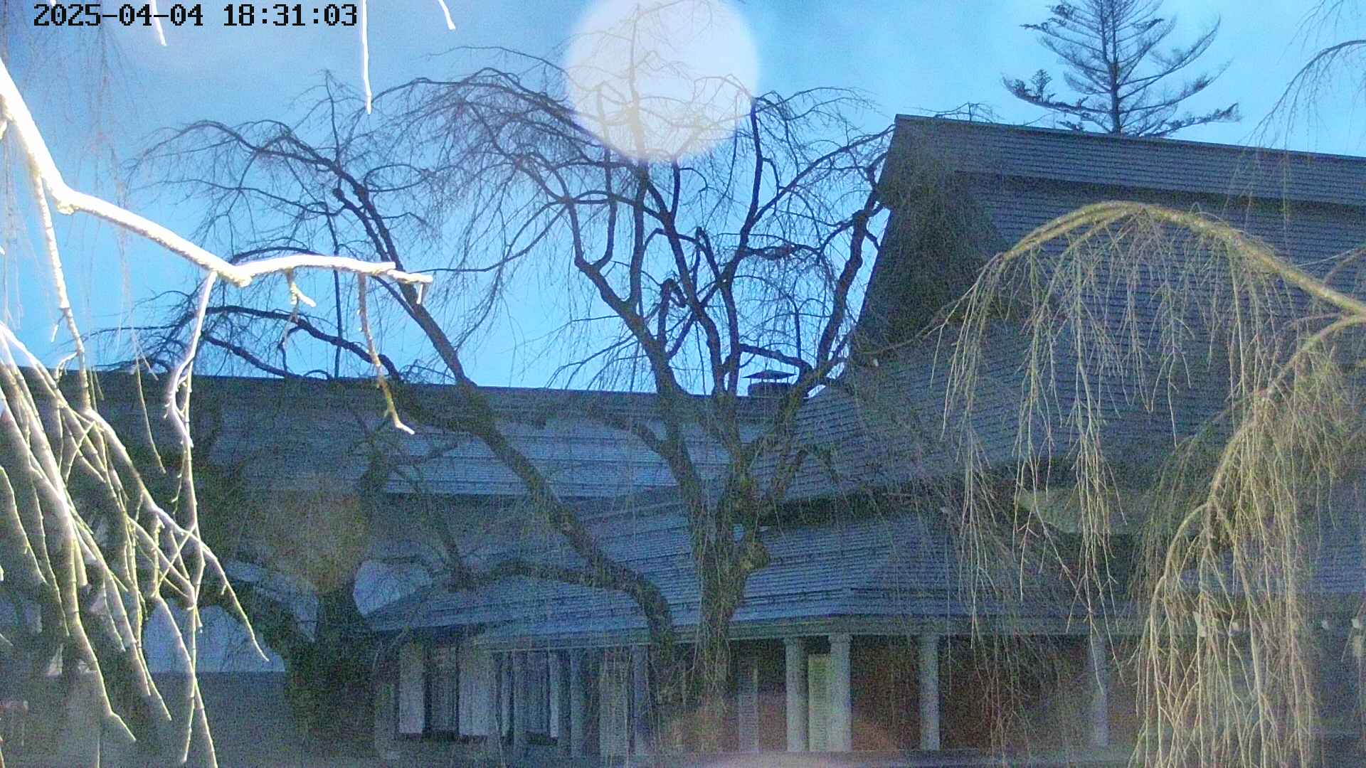 area2-20250404183105.jpg