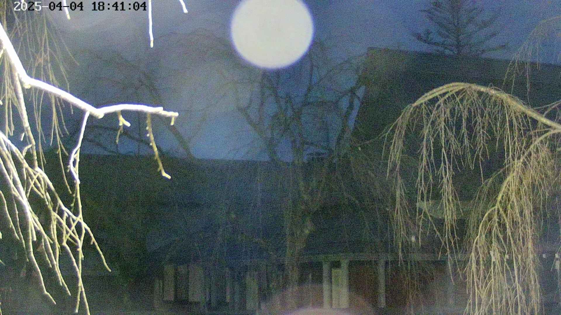 area2-20250404184107.jpg
