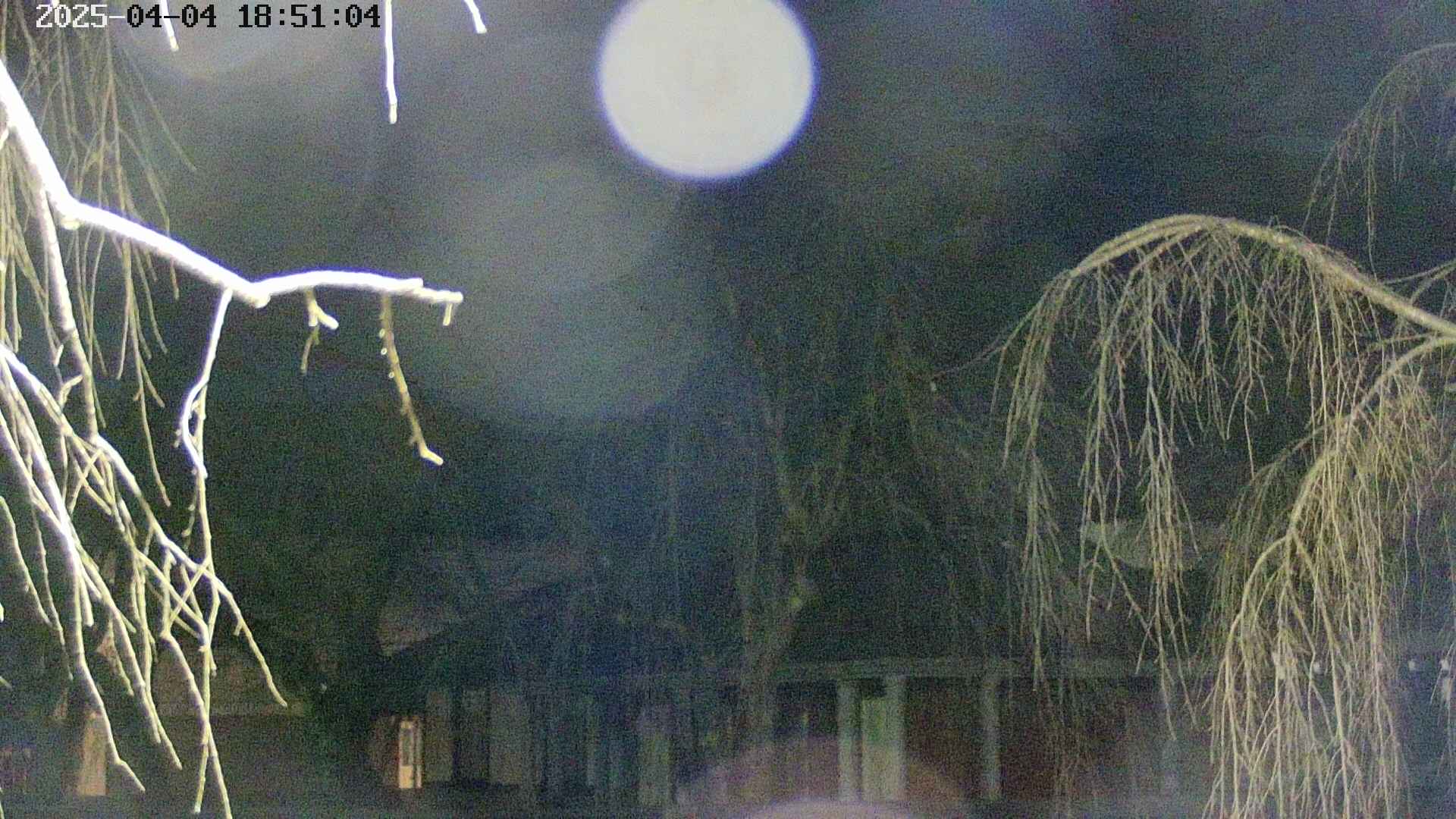 area2-20250404185106.jpg