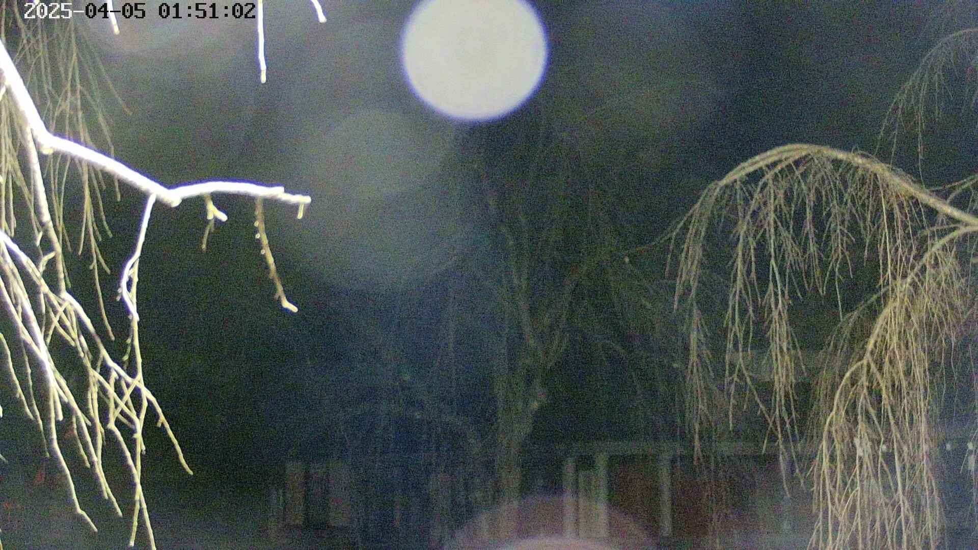 area2-20250405015105.jpg