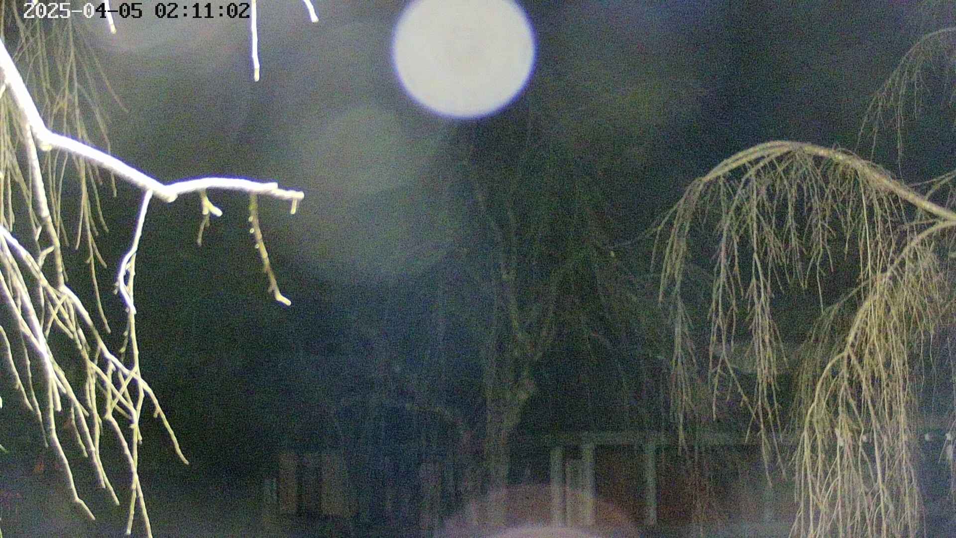 area2-20250405021105.jpg