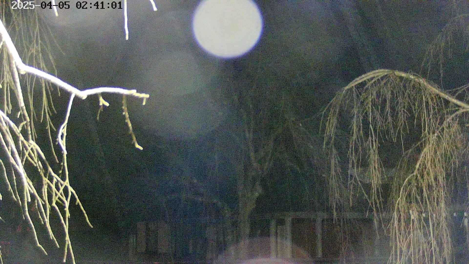 area2-20250405024105.jpg