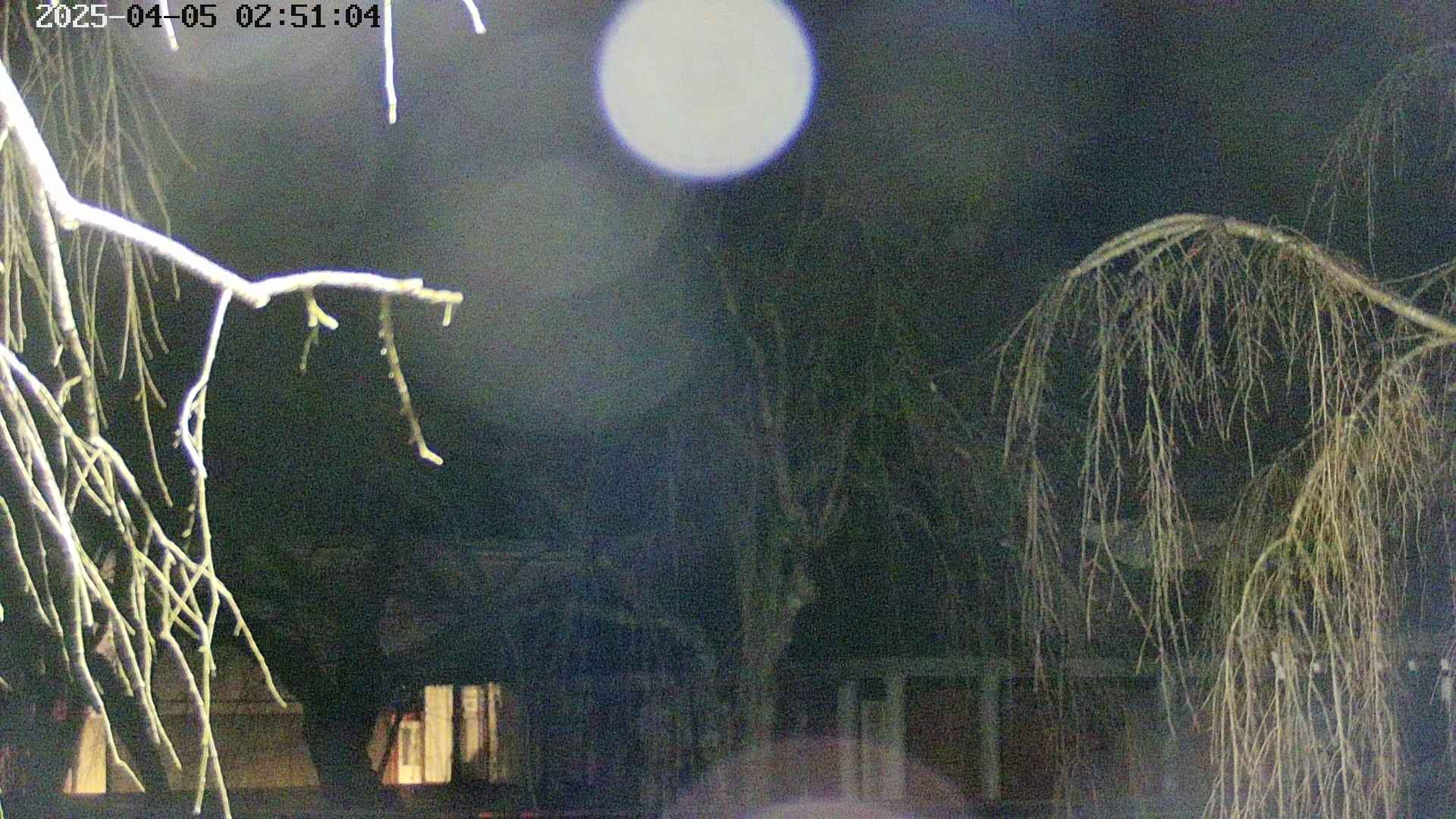 area2-20250405025108.jpg