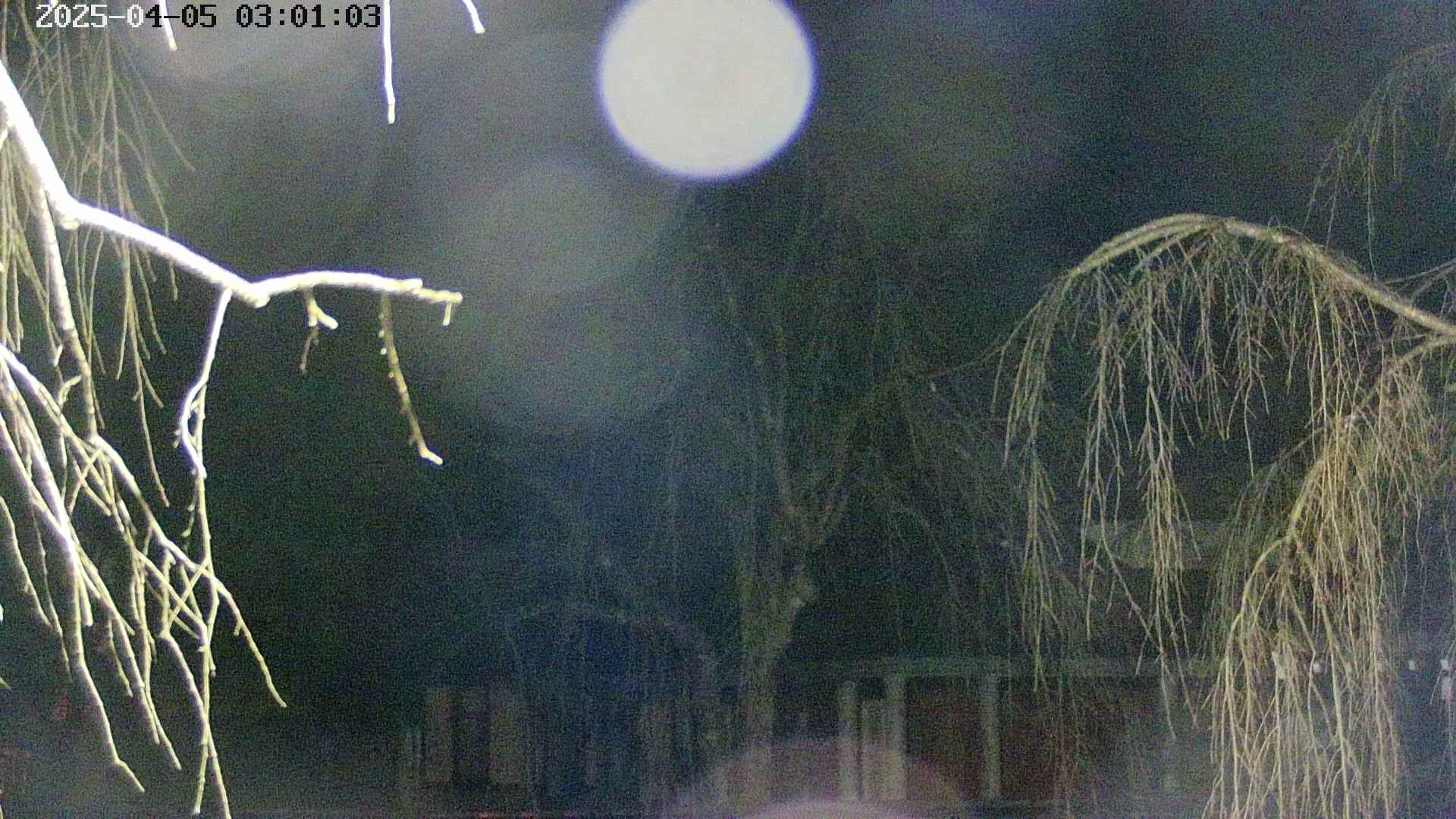 area2-20250405030106.jpg