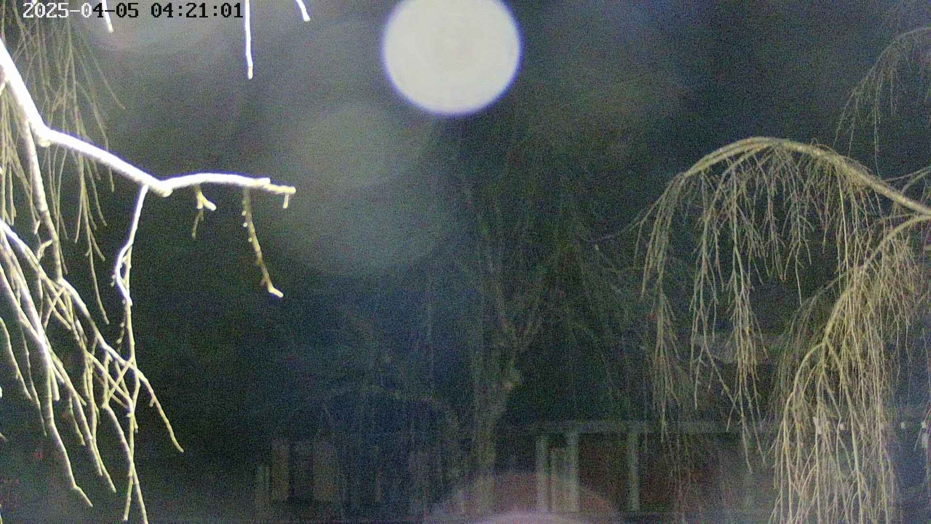area2-20250405042104.jpg