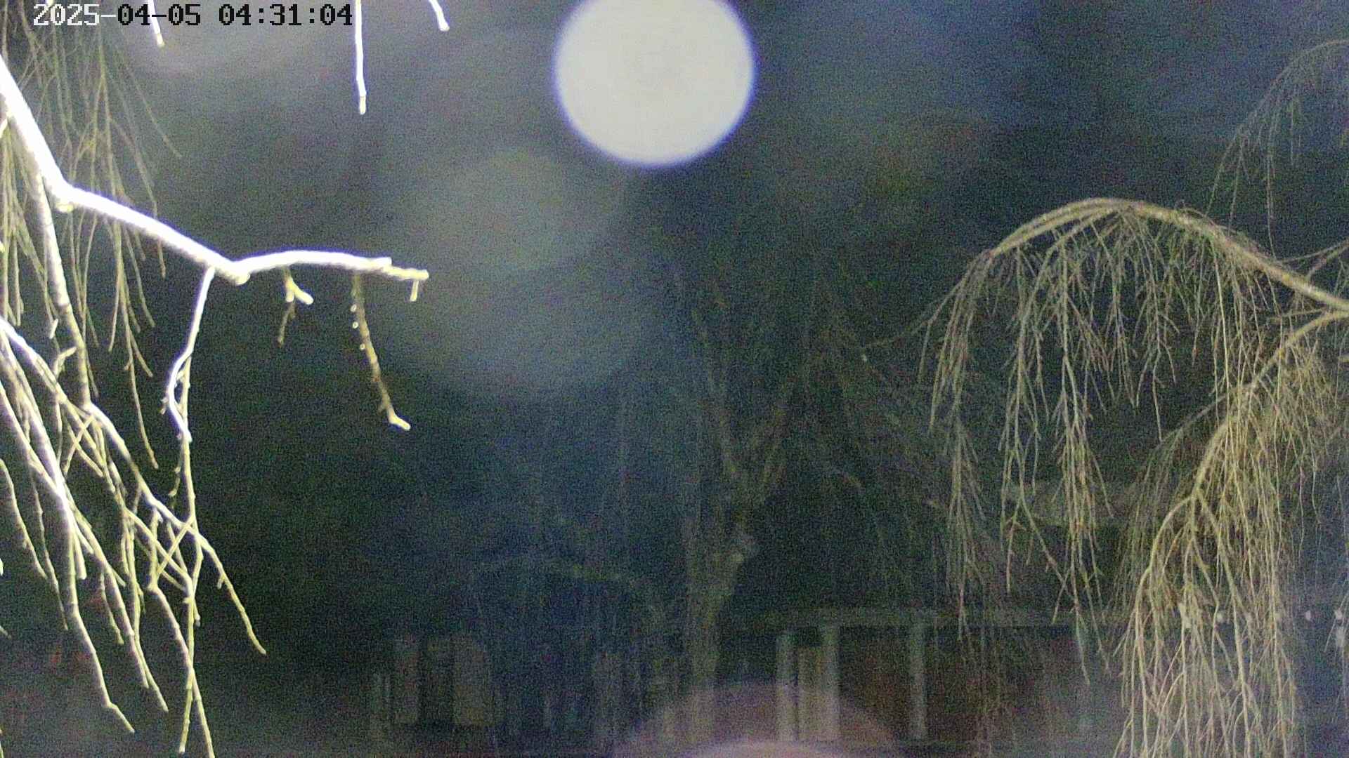 area2-20250405043107.jpg