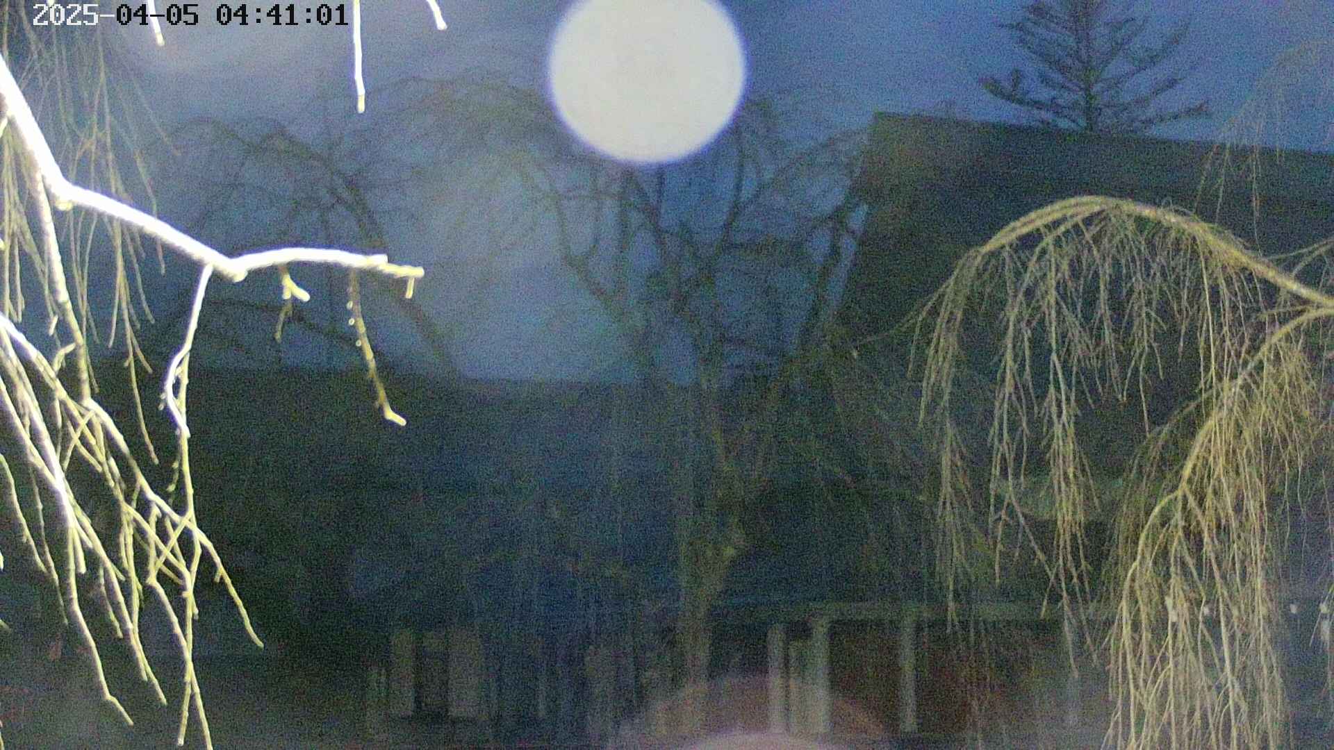 area2-20250405044105.jpg