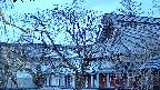 area2-20250405051107.jpg
