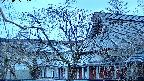 area2-20250405052107.jpg