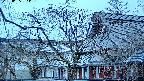 area2-20250405053107.jpg