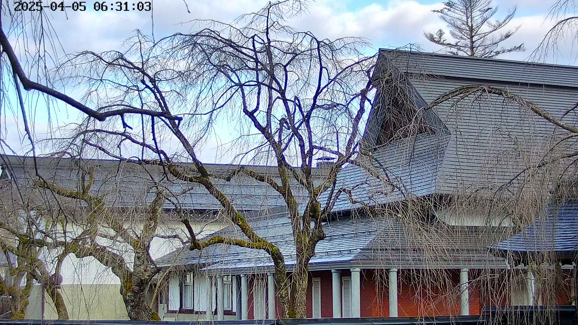 area2-20250405063107.jpg