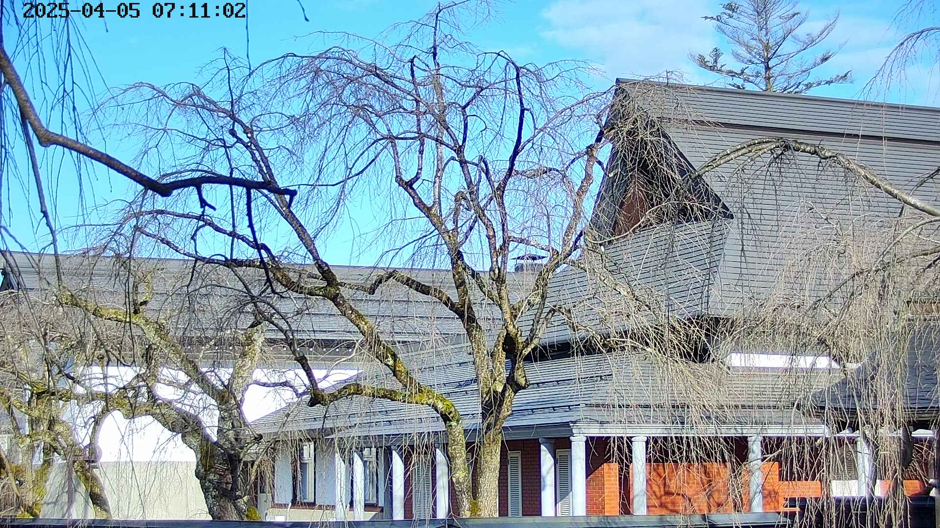 area2-20250405071107.jpg
