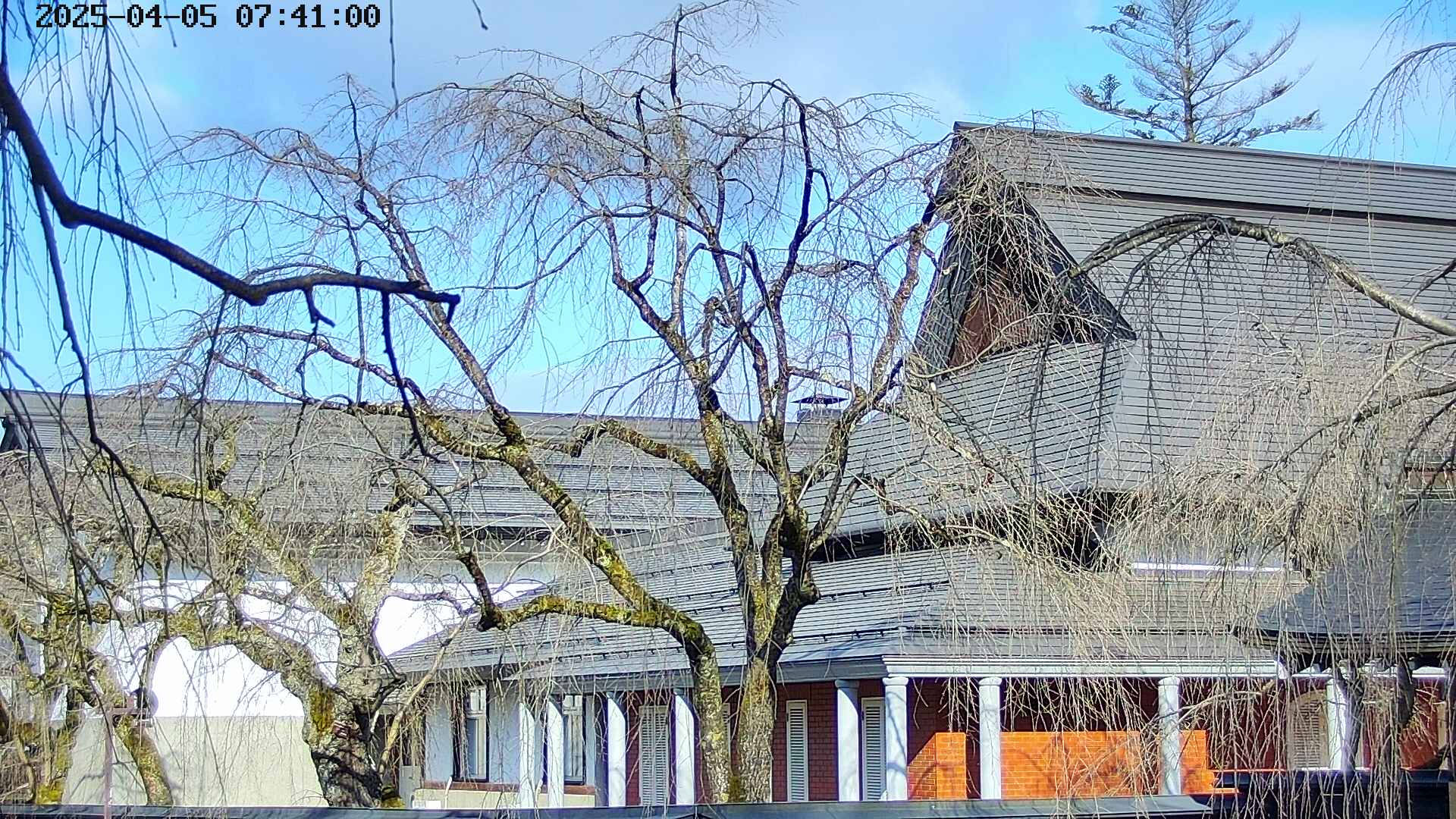 area2-20250405074105.jpg