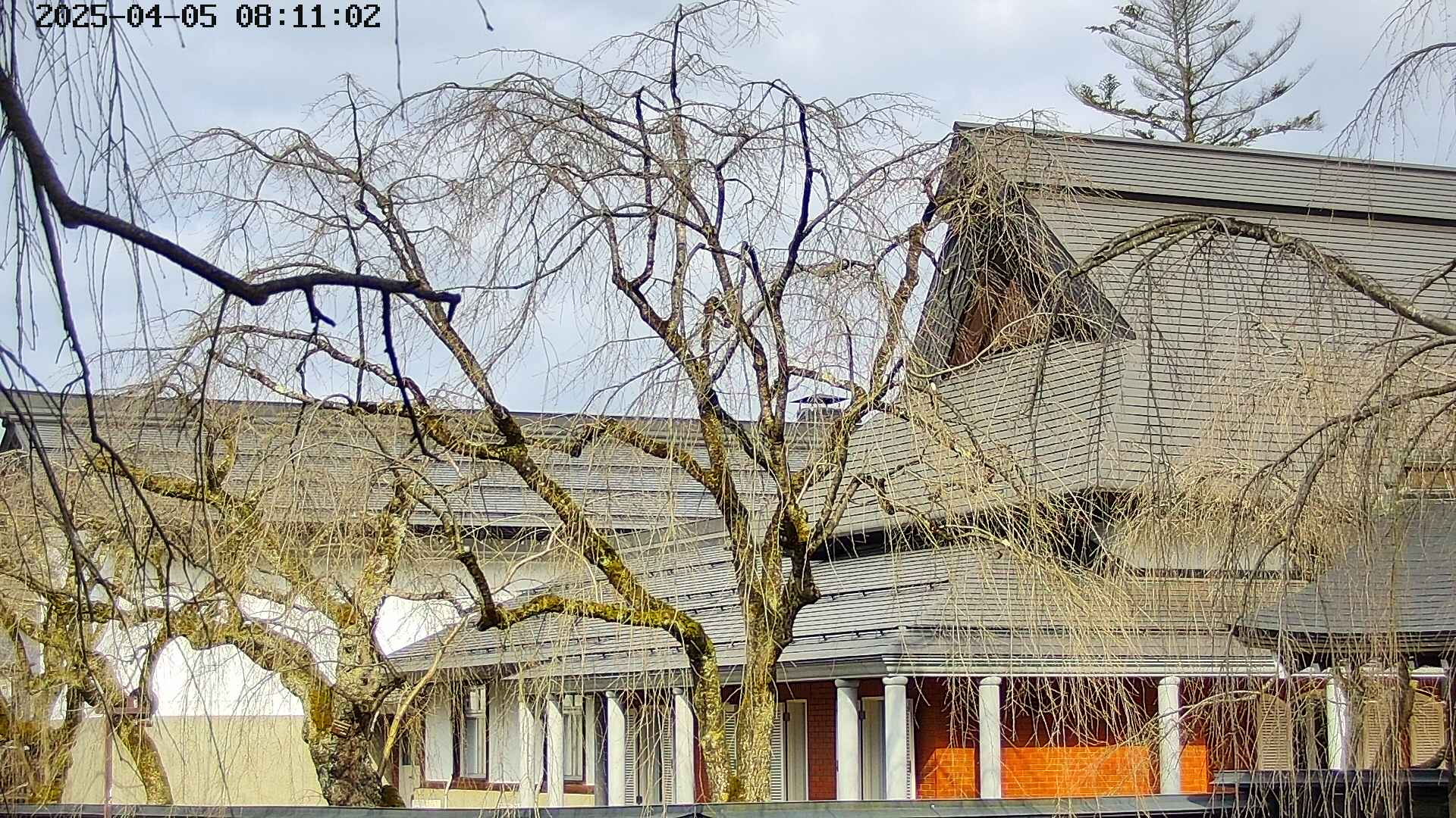 area2-20250405081106.jpg