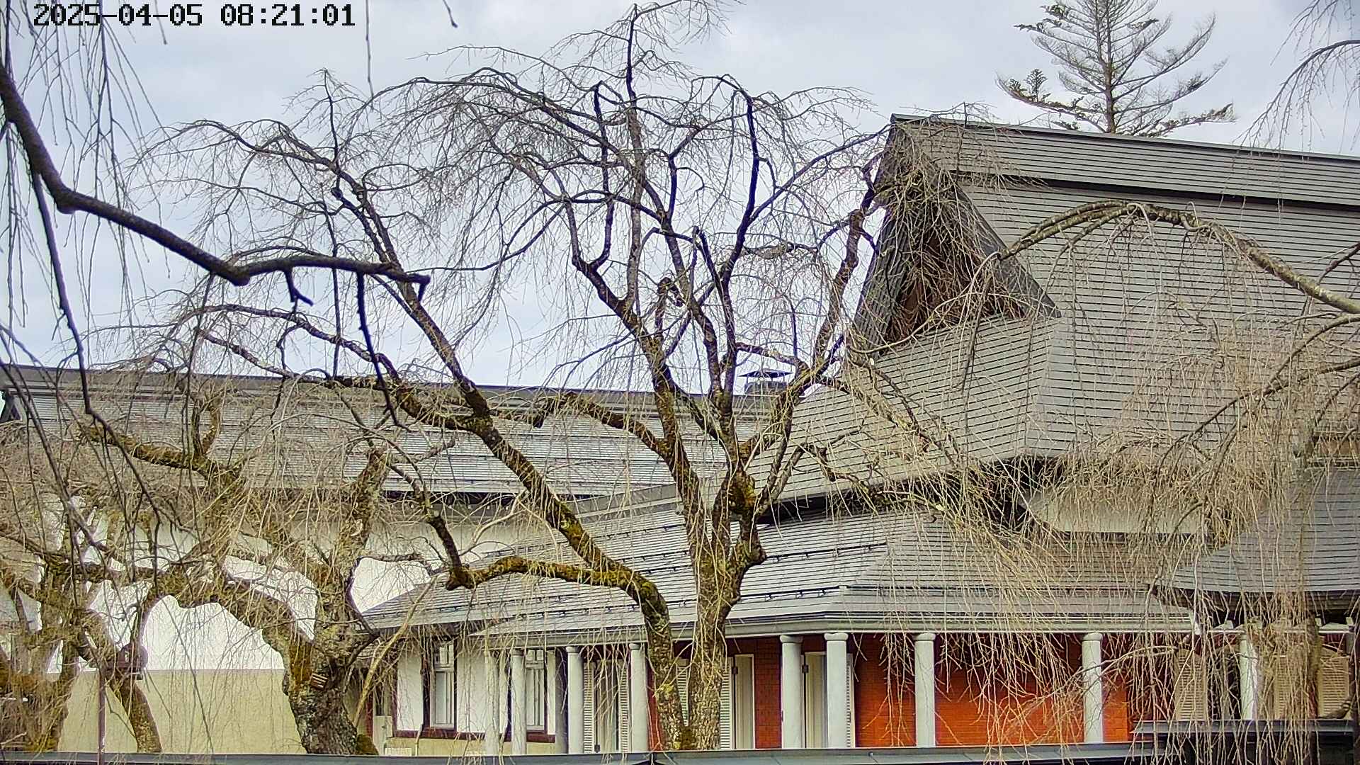 area2-20250405082106.jpg