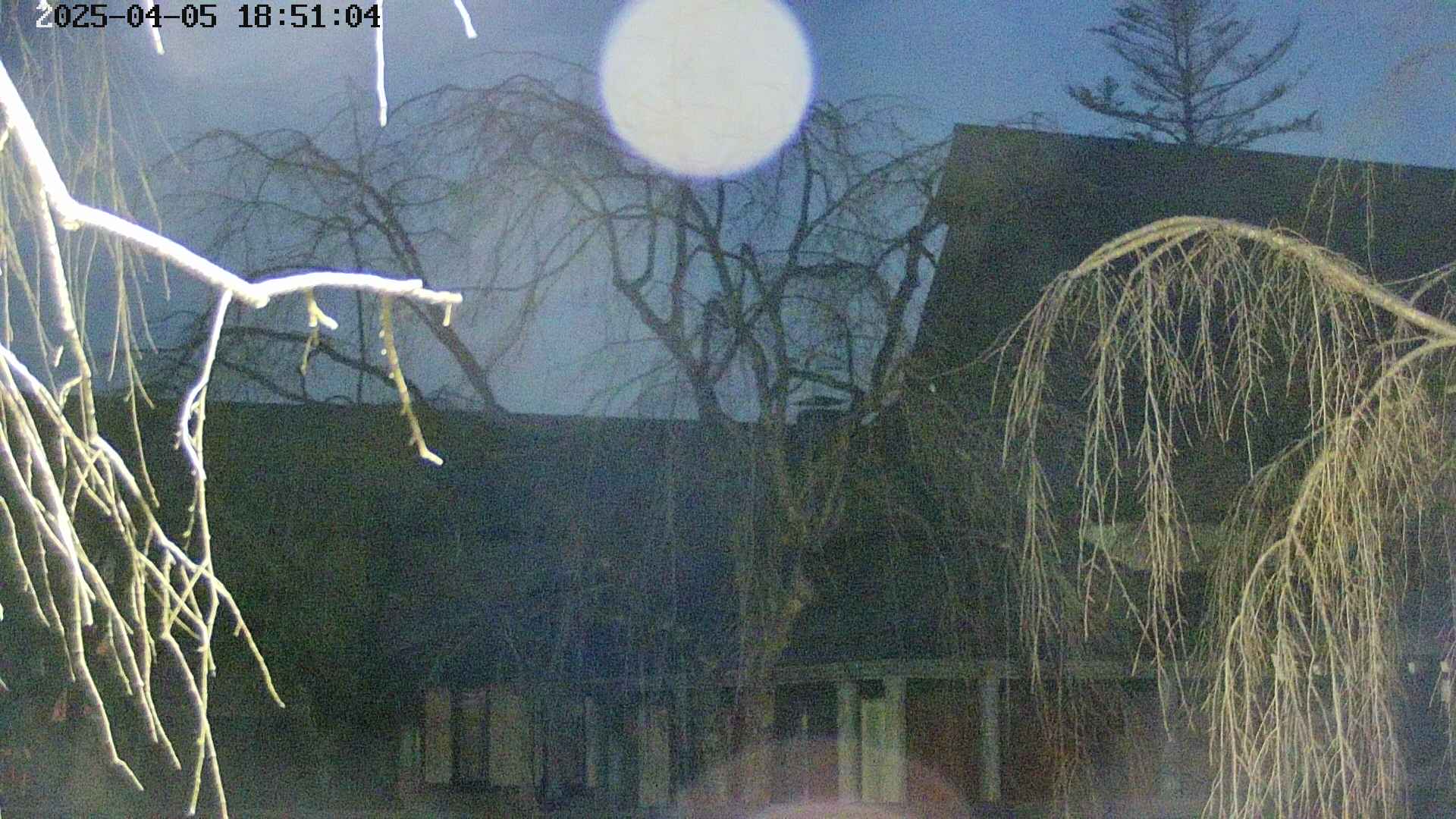 area2-20250405185106.jpg