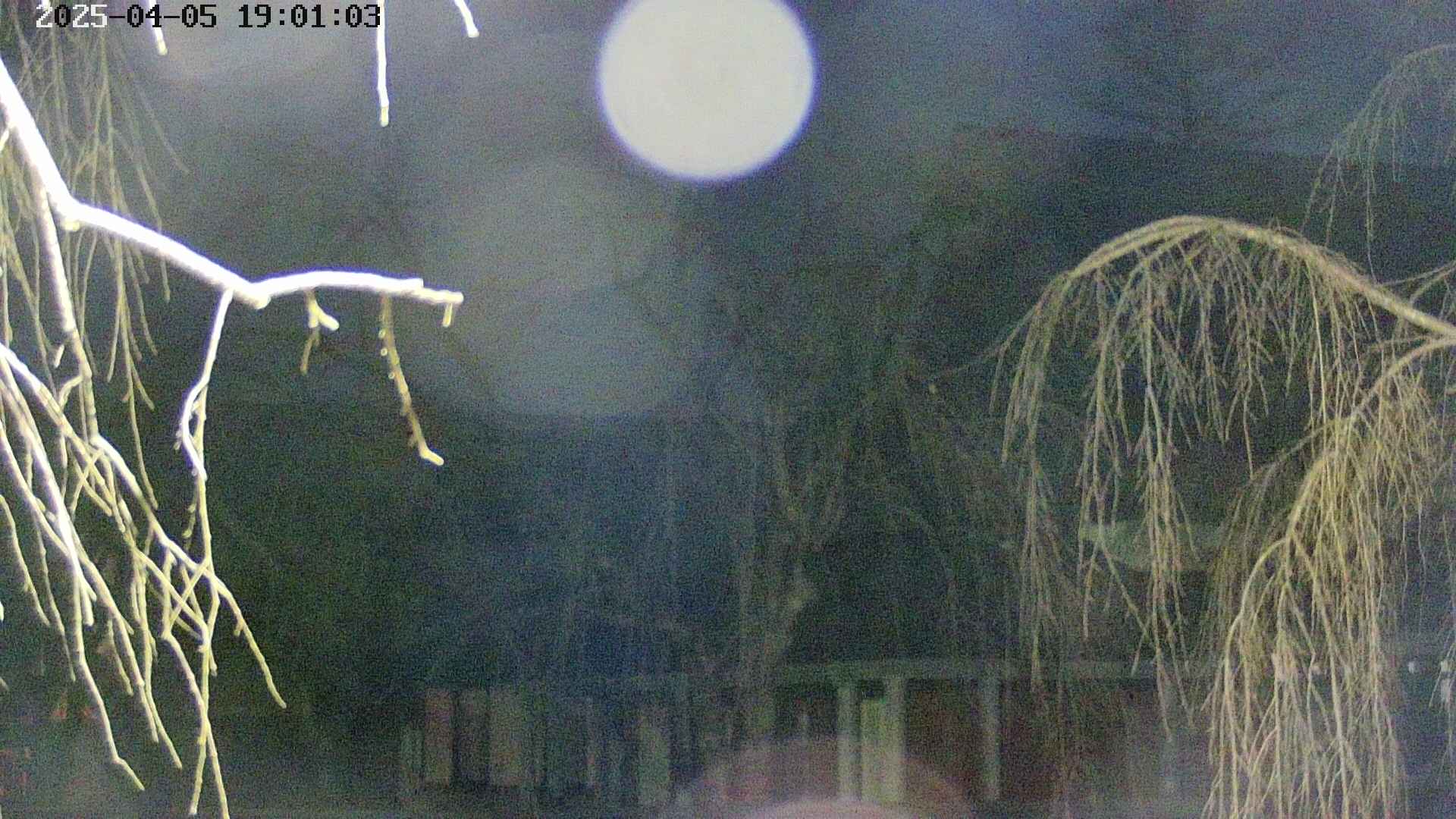 area2-20250405190105.jpg