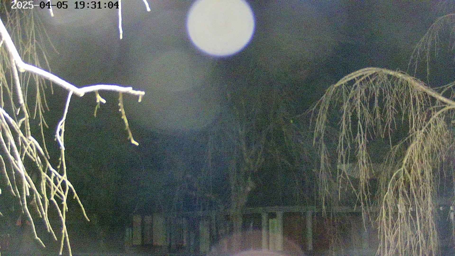area2-20250405193107.jpg