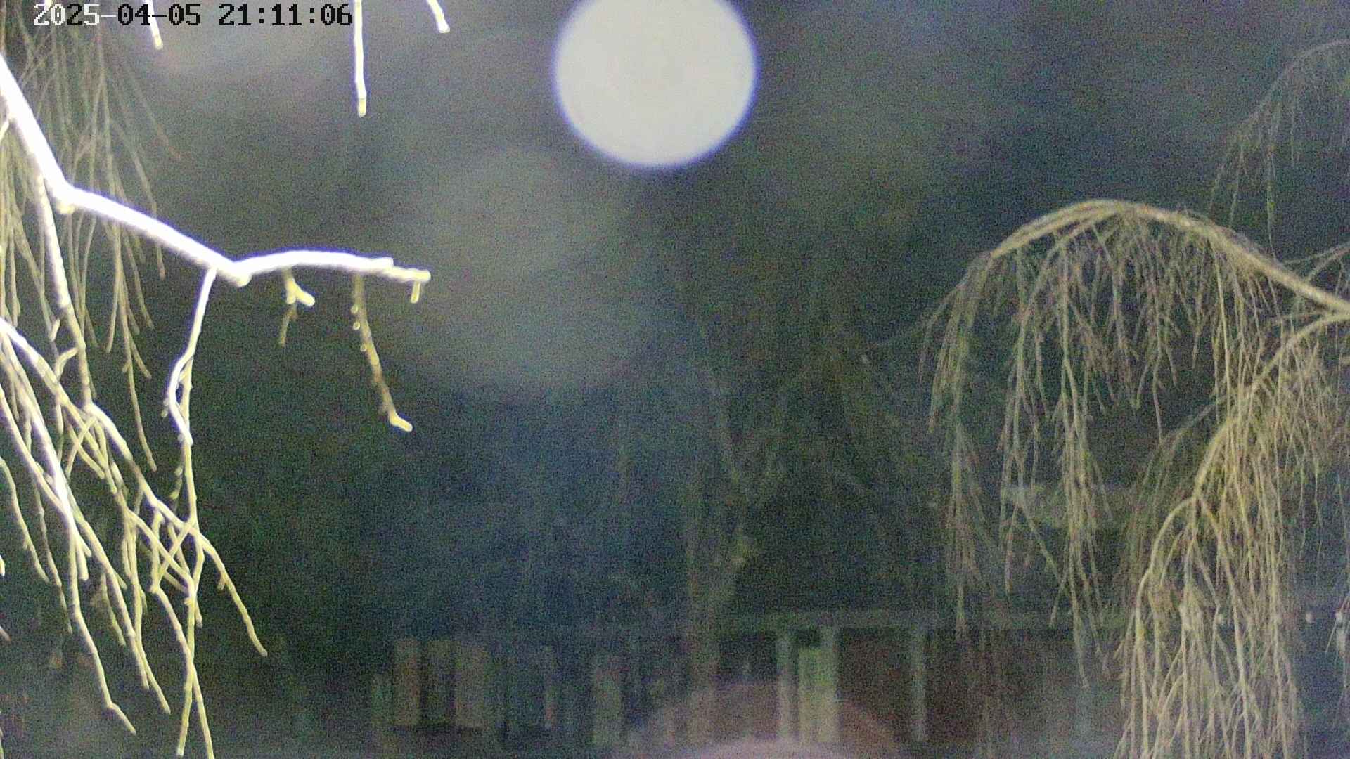 area2-20250405211108.jpg