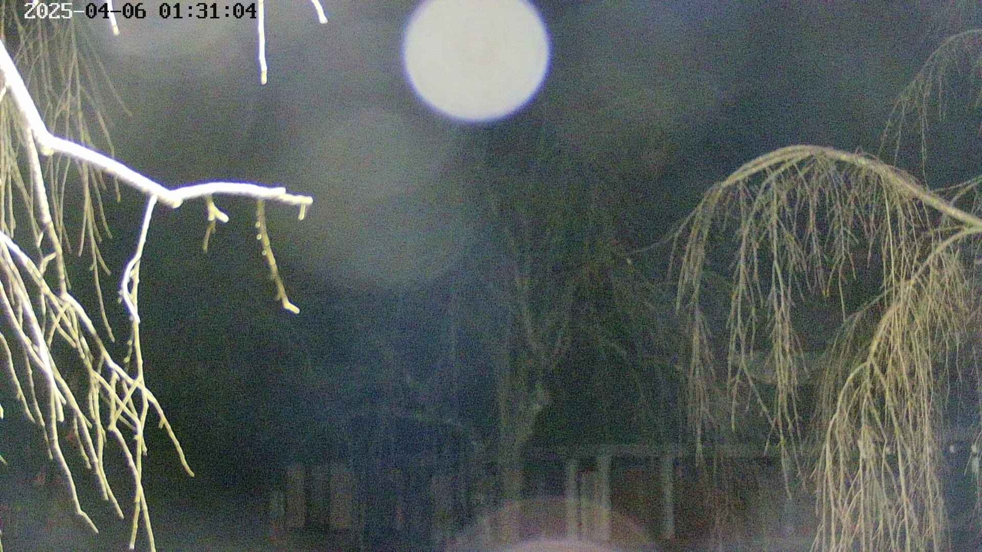 area2-20250406013107.jpg