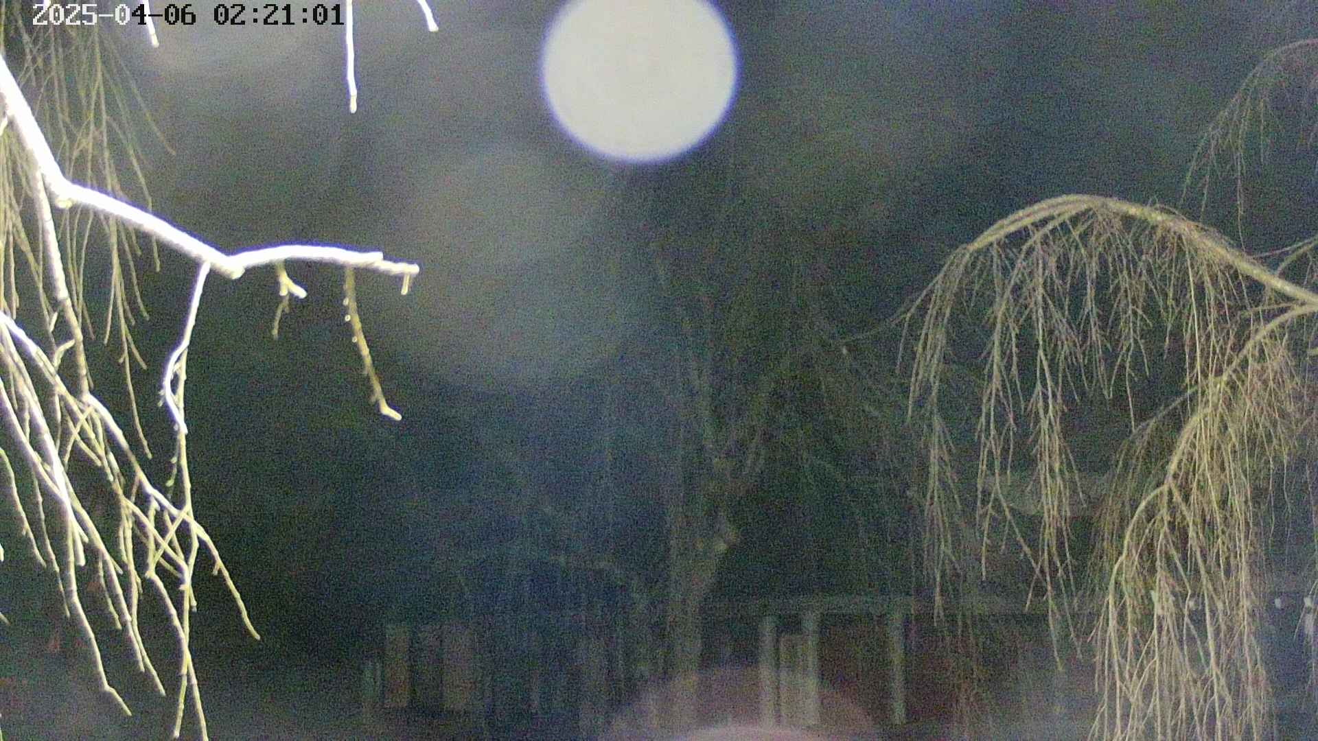 area2-20250406022104.jpg