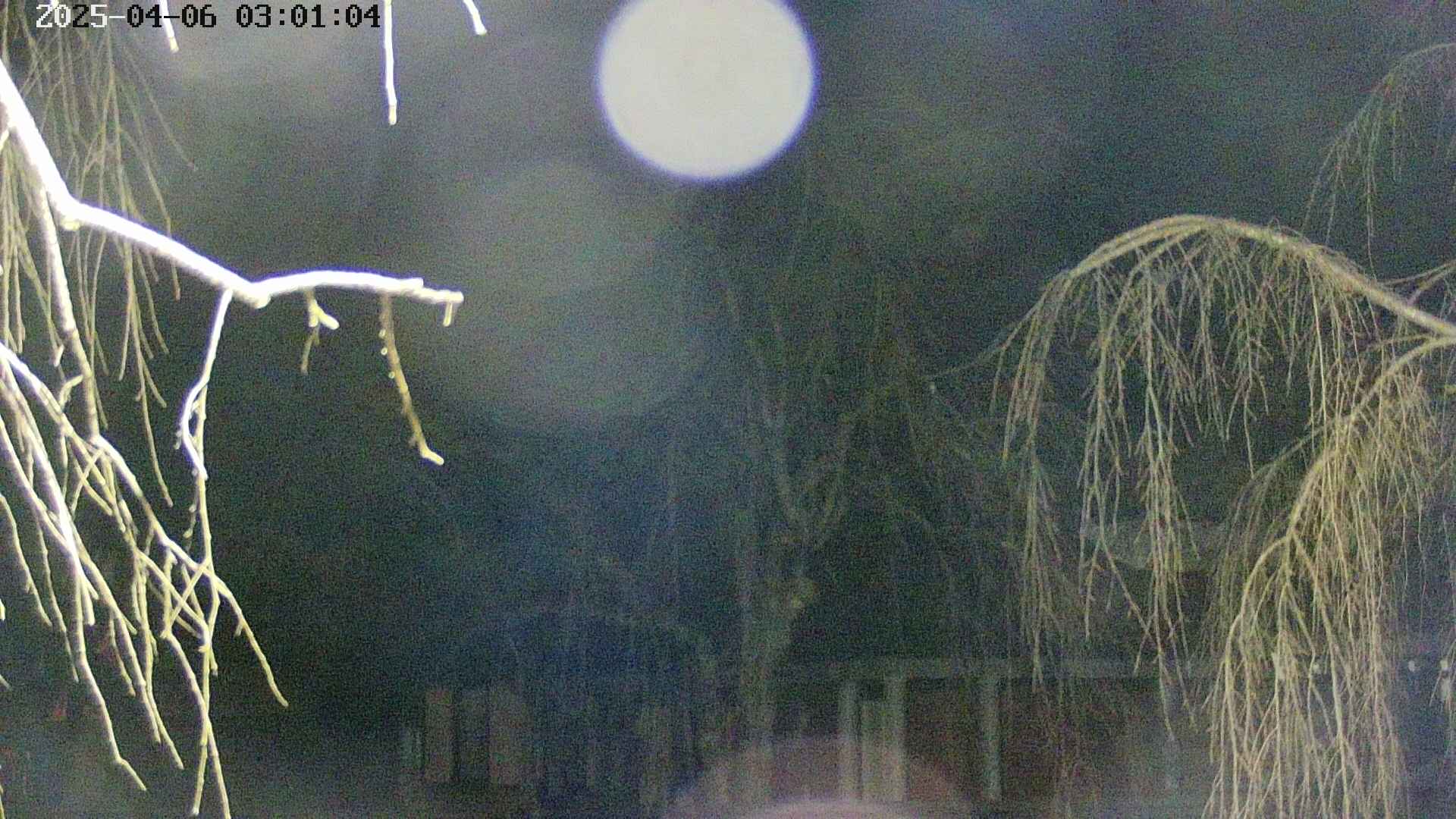 area2-20250406030107.jpg