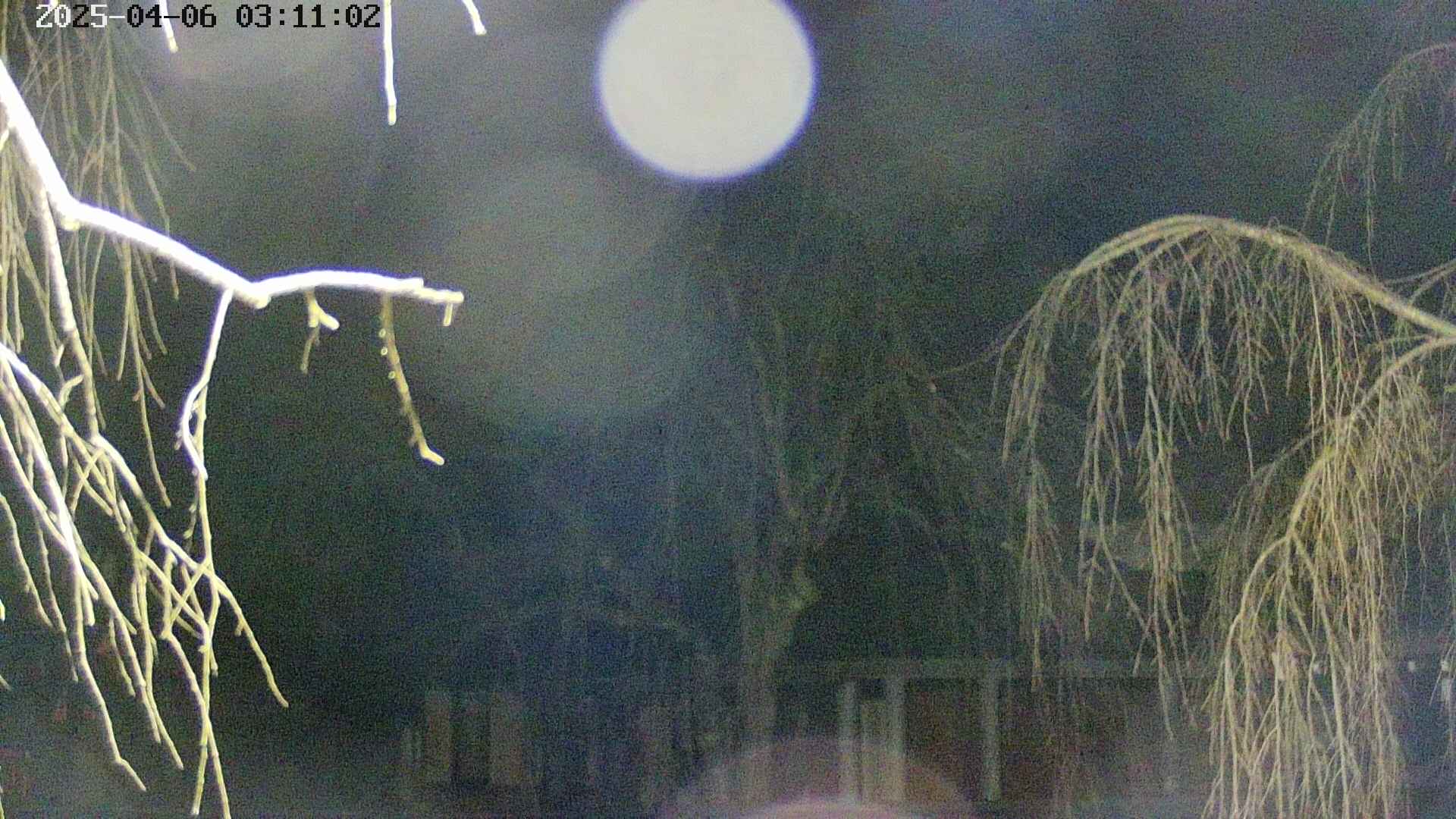 area2-20250406031106.jpg