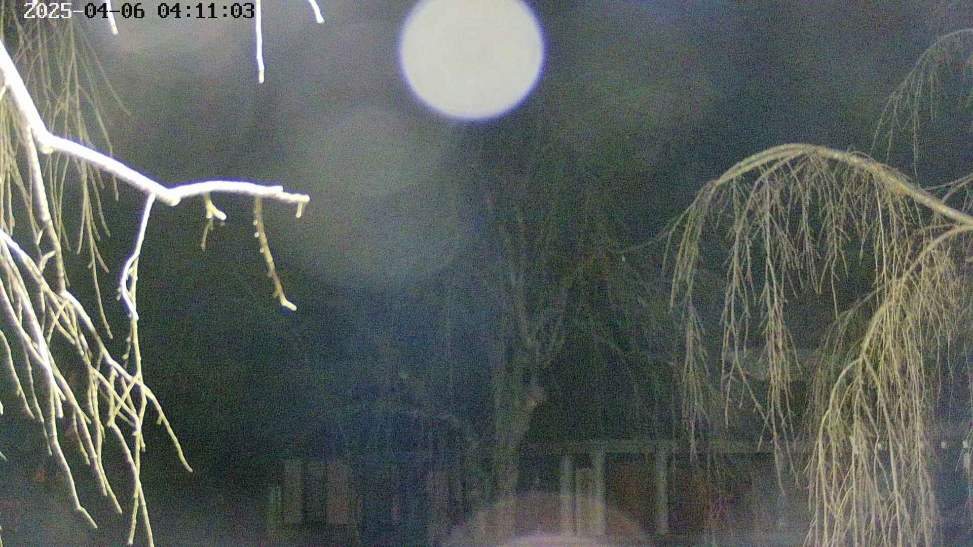area2-20250406041106.jpg