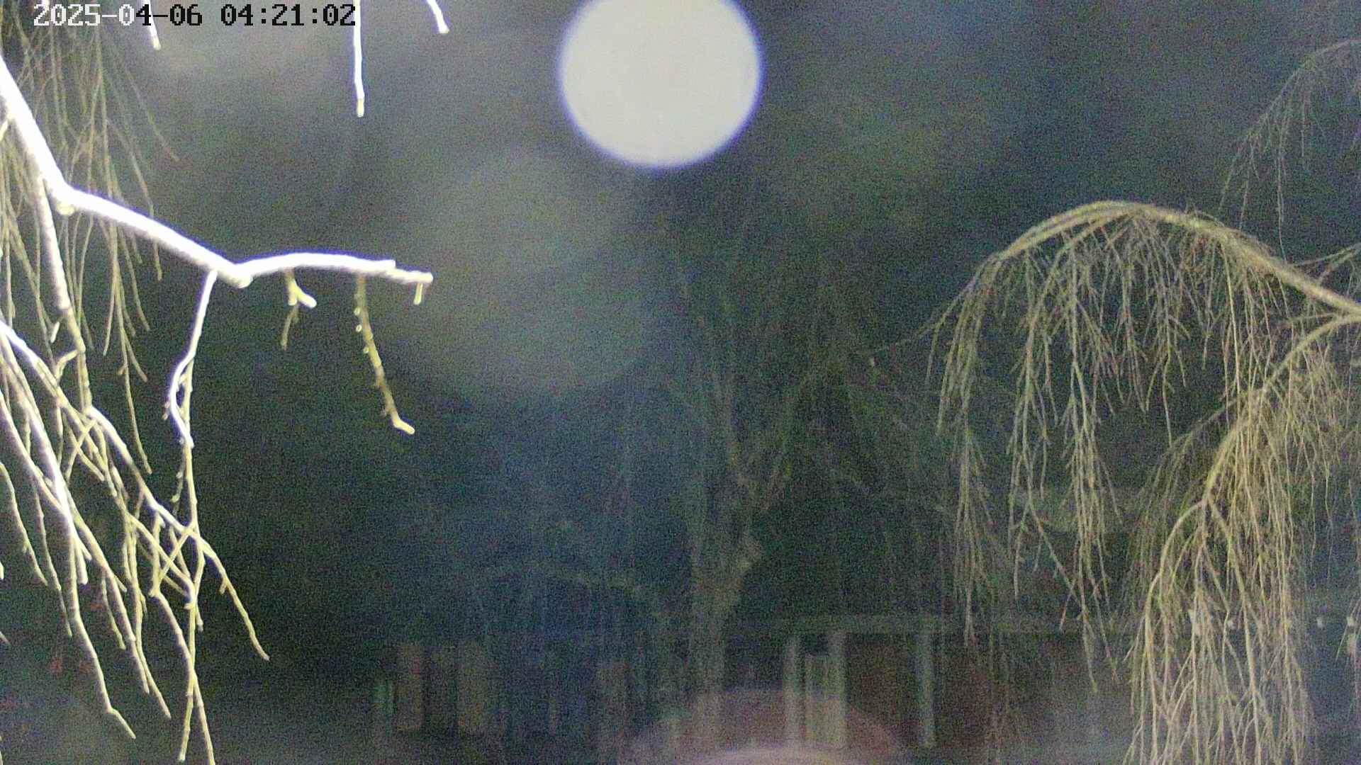 area2-20250406042106.jpg