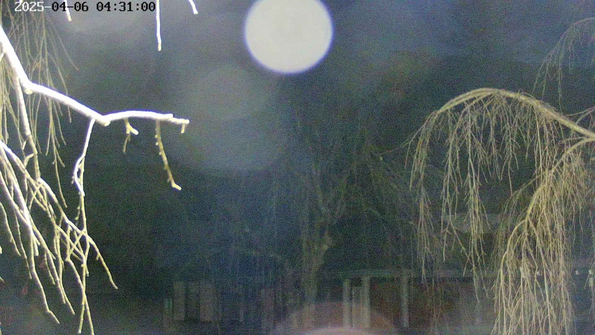 area2-20250406043104.jpg