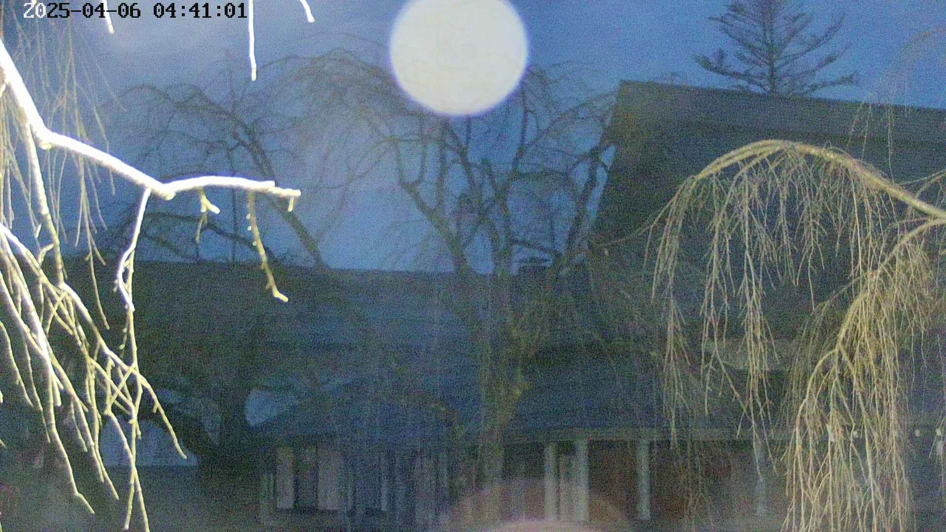 area2-20250406044105.jpg