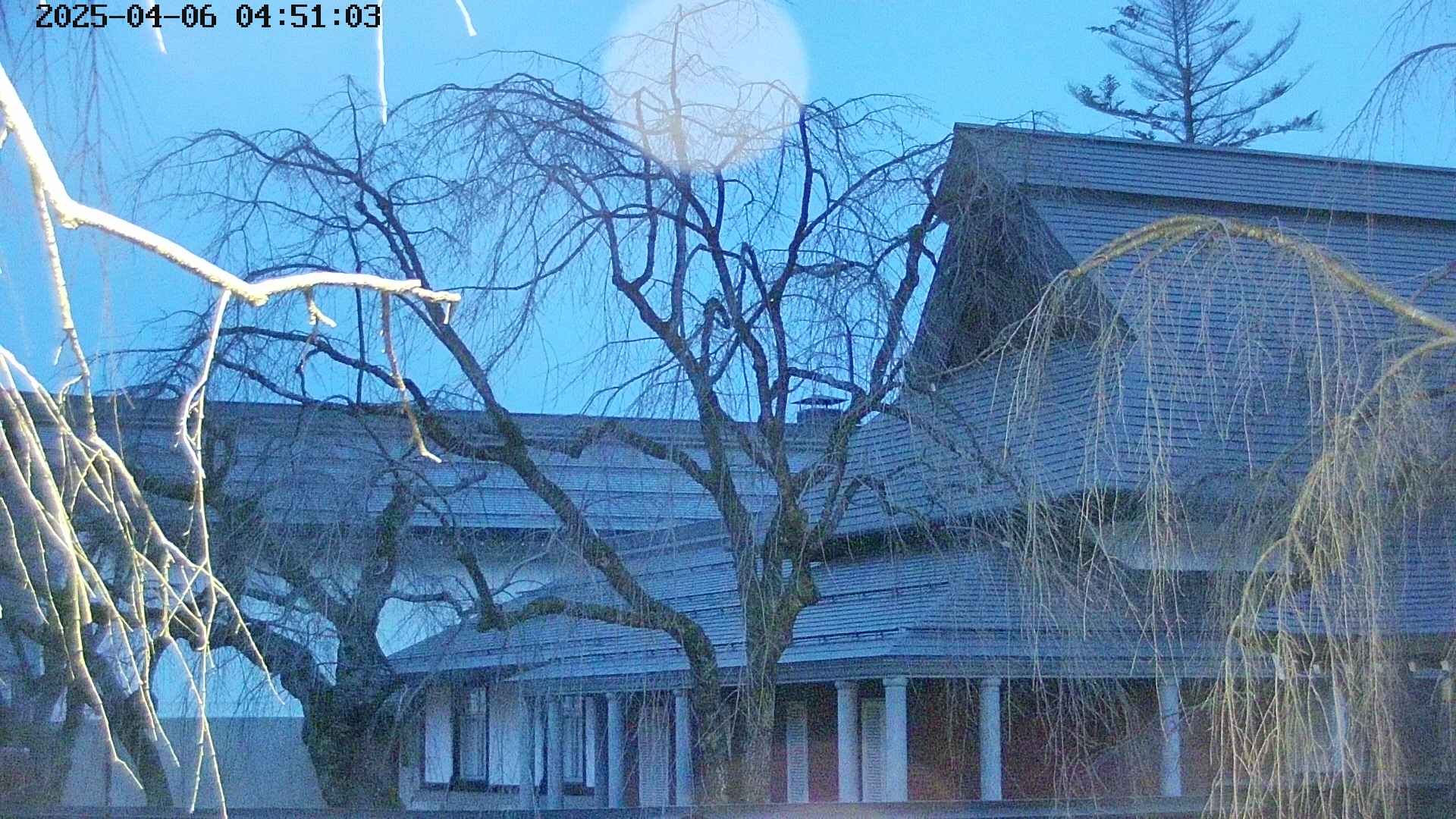 area2-20250406045106.jpg