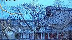 area2-20250406050105.jpg