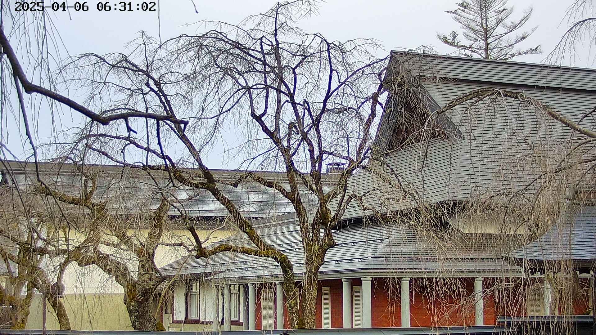 area2-20250406063106.jpg