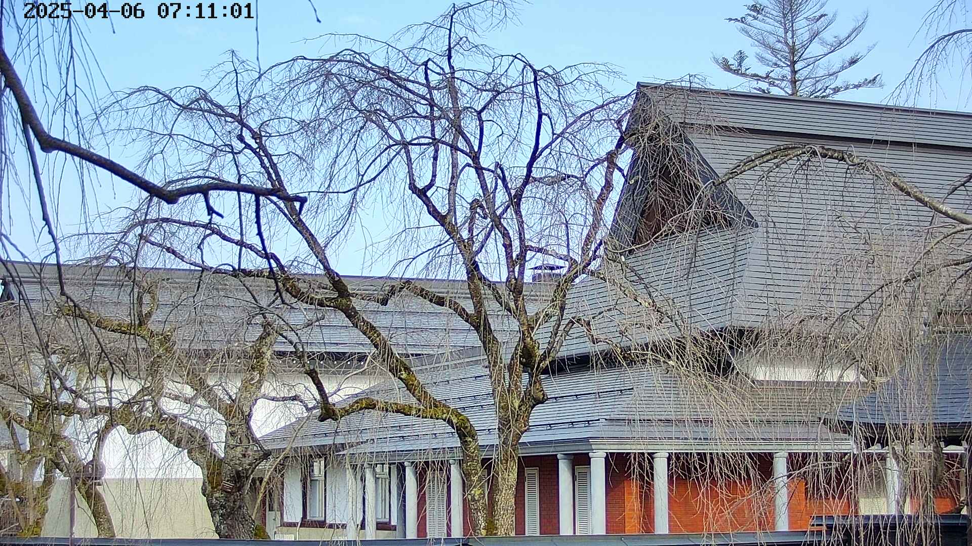 area2-20250406071104.jpg