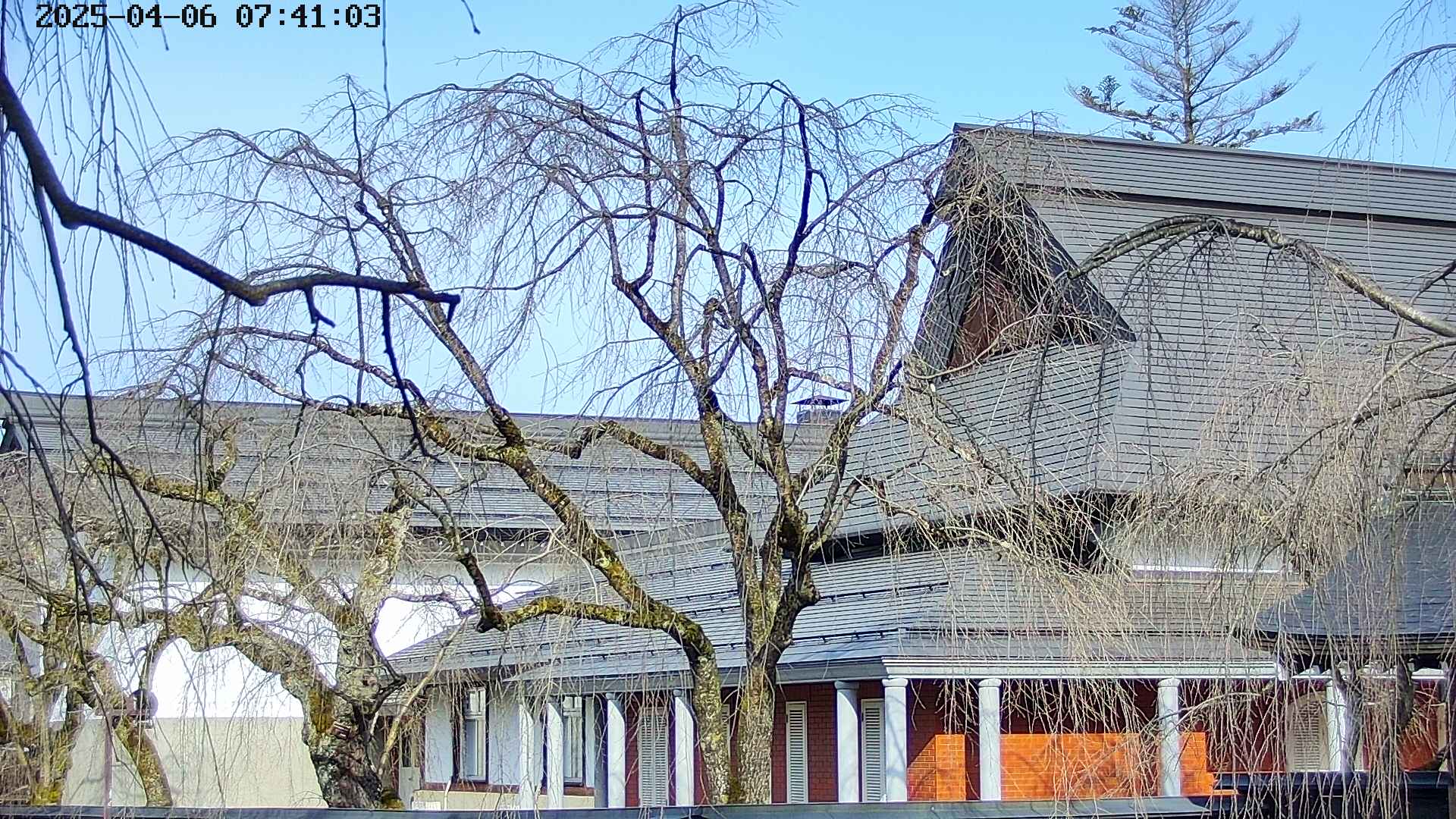 area2-20250406074107.jpg