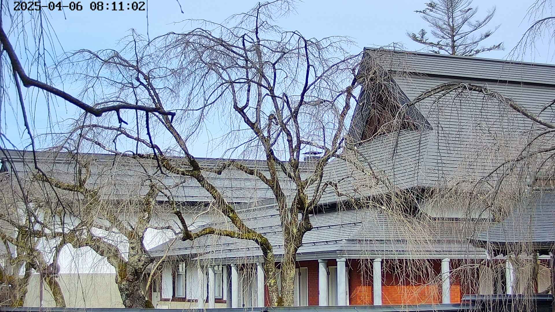 area2-20250406081106.jpg