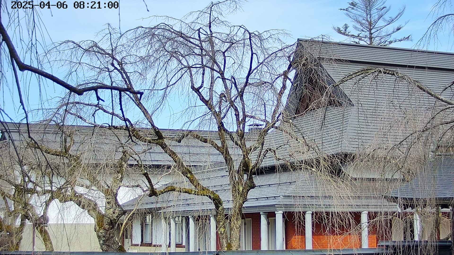 area2-20250406082105.jpg