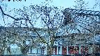 area2-20250406175106.jpg