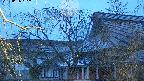 area2-20250406182105.jpg