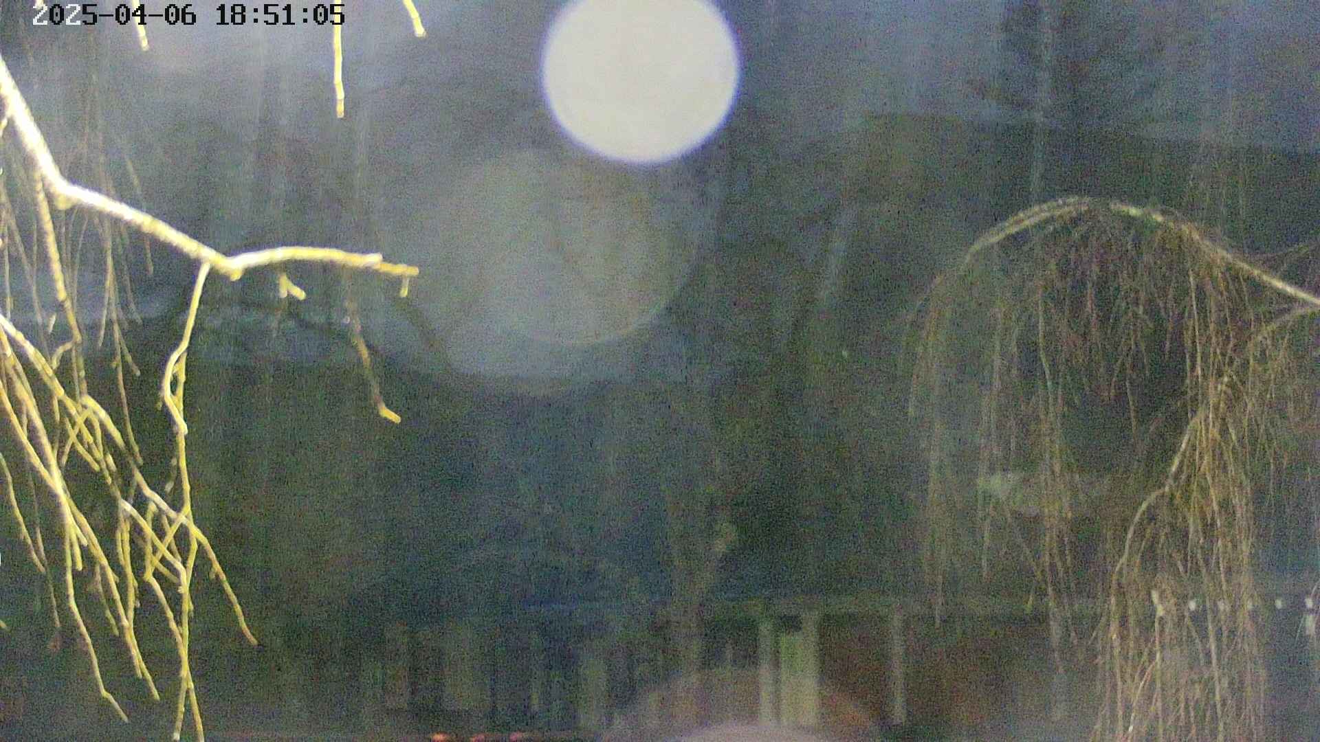 area2-20250406185106.jpg